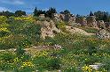 Carthage - Byrsa 100_6440